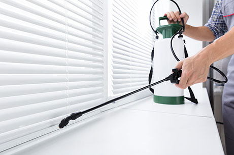 Technician Spraying for Termites for guarantee
